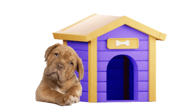 Veterinario, Peluquería y Guardería Canina